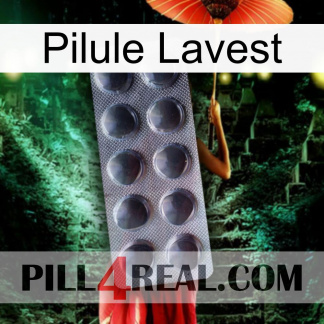 Lavest Pill 30
